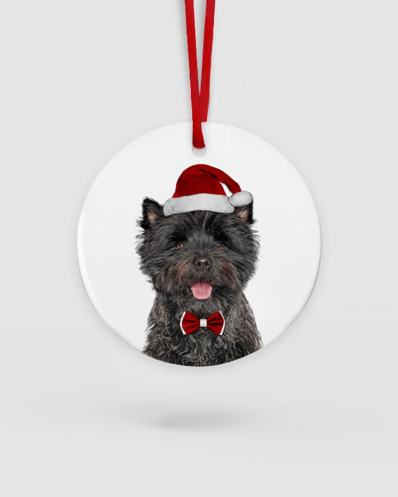 Personalised Cairn Terrier Christmas Decoration Christmas Hanging Ornament Gift For Cairn Terrier Owner Cairn Terrier Lover Circle