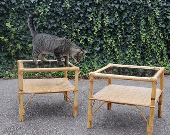 Pair Rattan Side Table