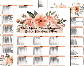 Chronological Bible Reading Plan Printable Bible Tracker, One Year Bible Plan Daily Devotion For Women Bible Study Download PDF reading plan