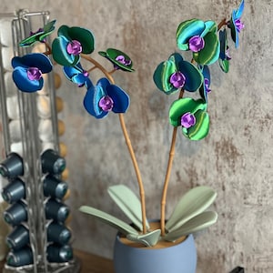 May include: A blue and green iridescent orchid plant in a blue pot with green leaves. The plant is on a wooden shelf with a coffee pod holder in the background.