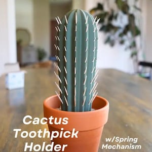 Può includere: Un porta stuzzicadenti a forma di cactus verde con un meccanismo a molla. Il porta stuzzicadenti è in un vaso di terracotta e ha stuzzicadenti di plastica bianca che sporgono da esso. Il testo "Cactus Toothpick Holder w/Spring Mechanism" è scritto sotto il vaso.