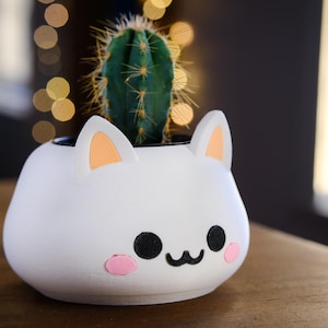 Adorable Cat Planter: Home Office Decor