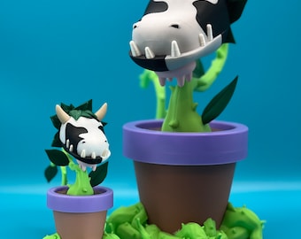 Baby Cow Plant