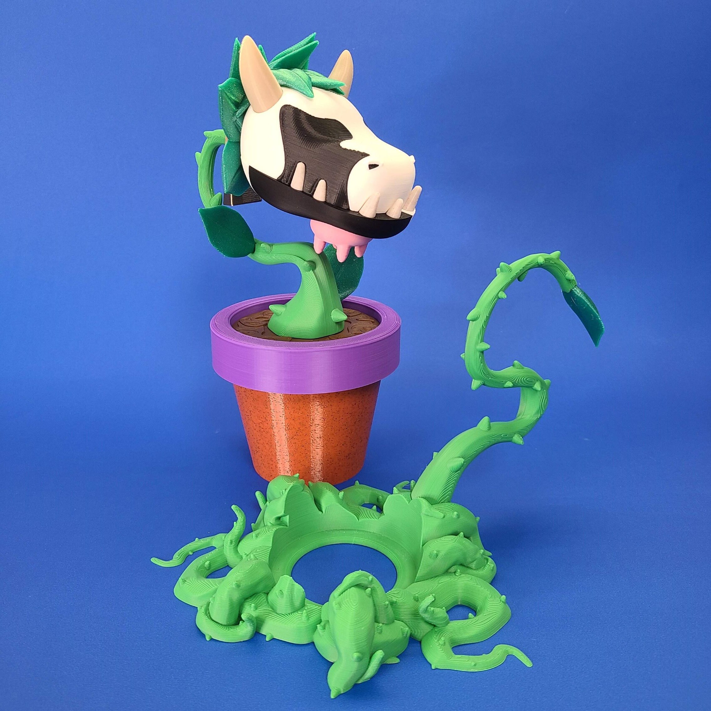 Cow Plant - Etsy