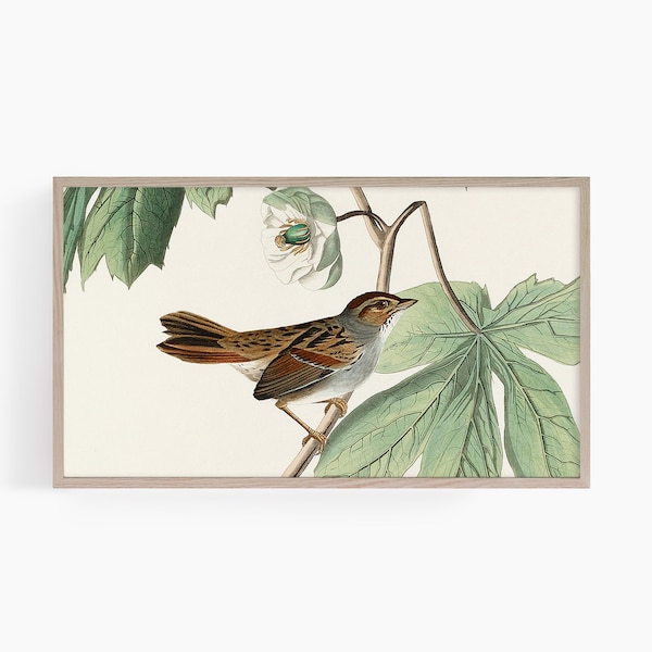 Samsung Frame TV Art | Vintage Frame TV Art | Neutral Frame TV Art | Farmhouse Frame tv Art | Bird Frame tv Art | John James Audubon