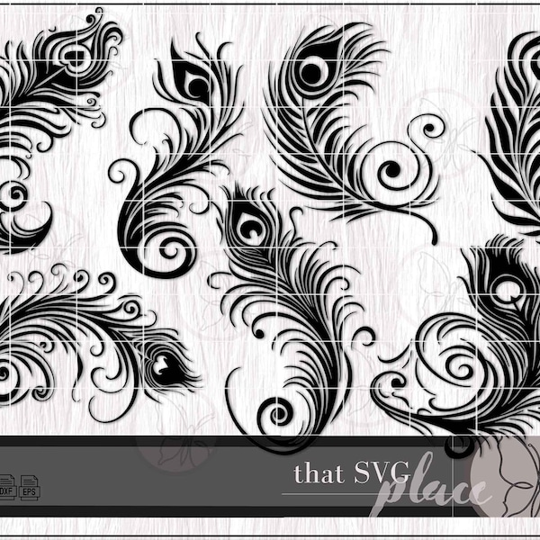 Peacock Feather SVG Bundle PNG DXF Clipart Vector Cut File For Cricut, Bird Svg