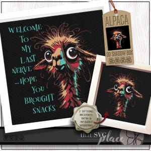 3D Alpaka SVG, Schattenbox Vorlage, Papierschnitt Licht Box, lustiges Zitat, Lama Schattenbox SVG, Cricut Schneidedatei