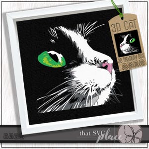 Puede incluir: Un retrato enmarcado de un gato en blanco y negro con un ojo verde brillante y una nariz rosa. La obra de arte está etiquetada como "3D CAT" y "3D SHADOW BOX" en una etiqueta. La imagen está en un marco blanco, con el texto "that SVG place" en la parte inferior.