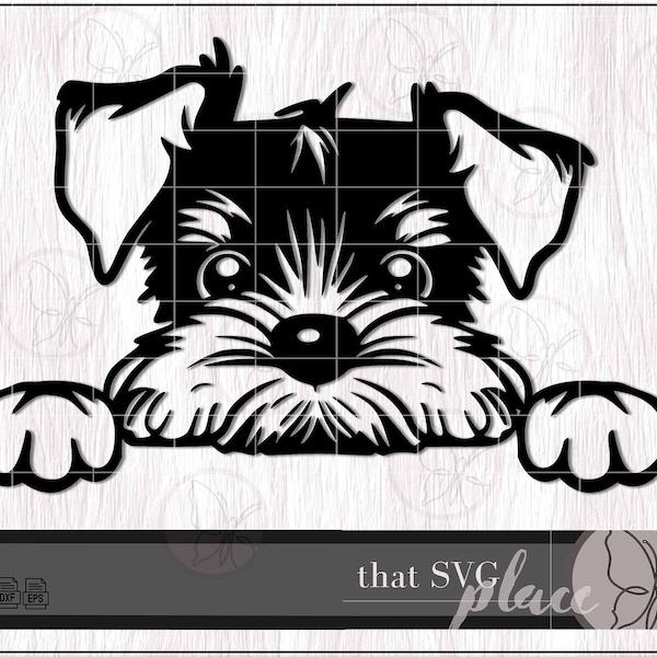 Schnauzer SVG, Mini Giant Standard Miniature Schnauzer Mom Shirt SVG Png Clipart Vector Cricut Silhouette Laser Cut File