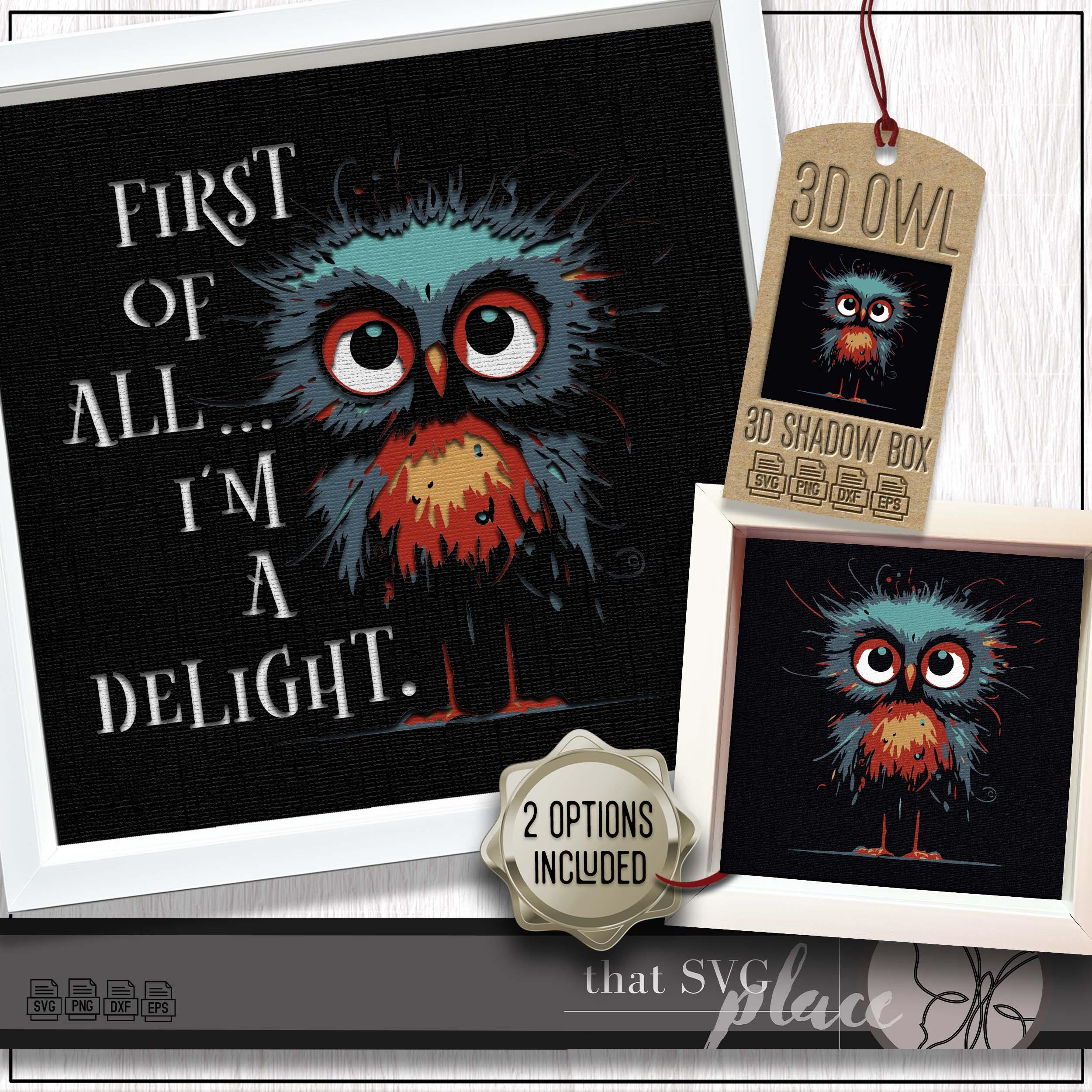 Owl SVG, 3D Layered Shadowbox Template, Paper Cut Light Box, Funny Quote, Shadow Box SVG, Bird SVG, 
