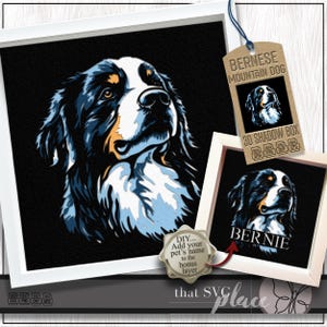 Berner Hund 3D SVG, Schattenbox Vorlage, Papierschnitt Licht Box, Haustier-Denkmal, Berghund Schattenbox SVG, Cricut Schneidedatei