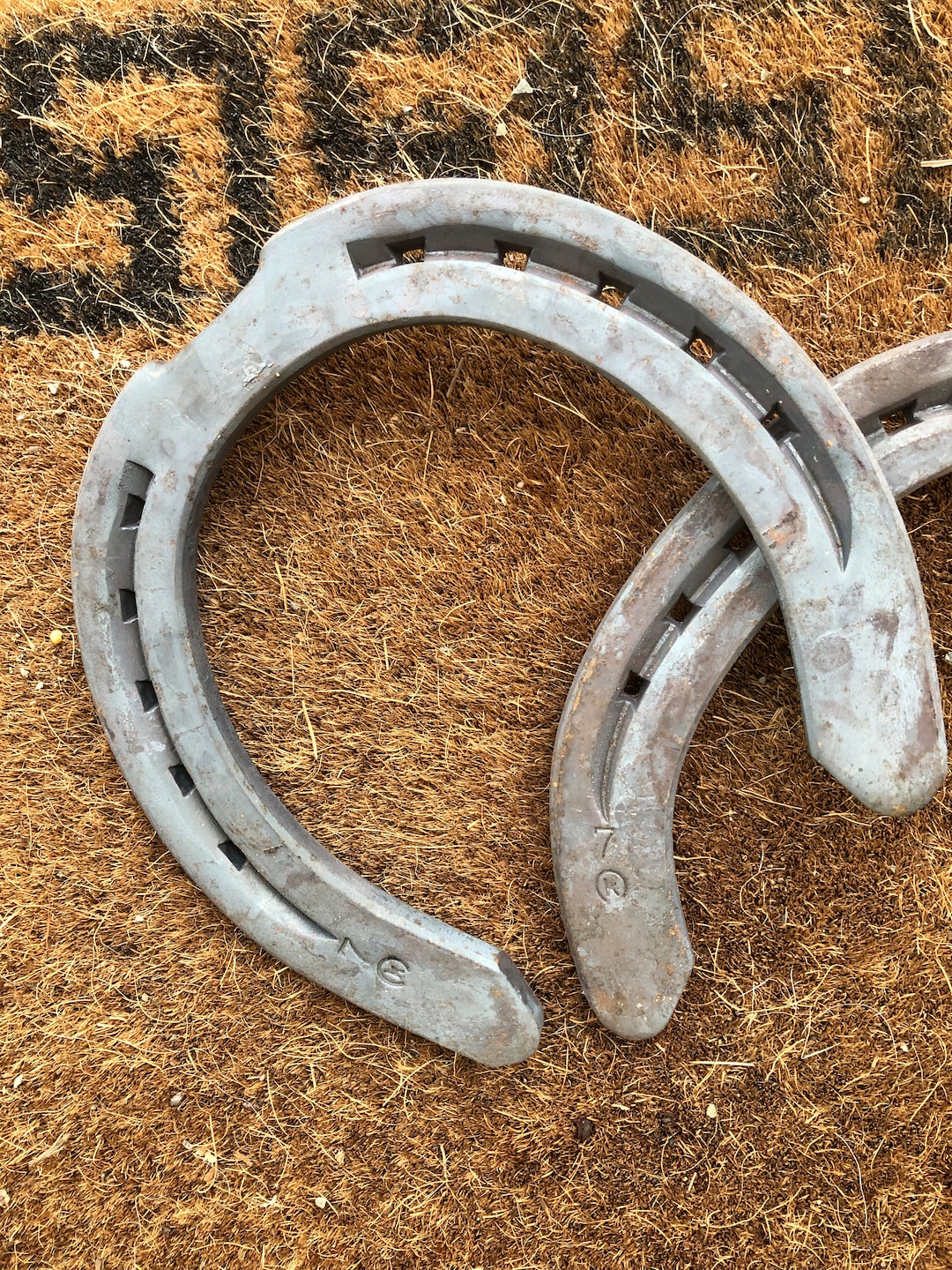DRAFT HORSE HORSESHOES 77 Authentic Slightly Rusty unused Horseshoes