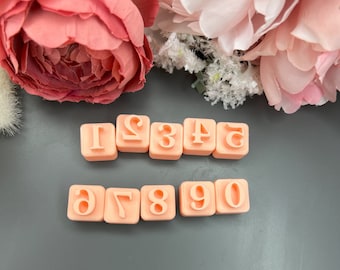 Number Stamps 2_ Polymer Clay Cutters_ Earring Making_ Clay Tools