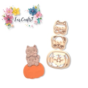 Hond en kat op pompoenkleivormpjes: sieraden maken voor Halloween-oorbellen