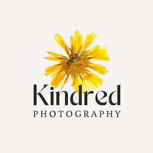 Photography Logo Design, Blossom Logo, Botanical Logo, Photography Logo Template, Boho Logo Design, Yellow Flower Logo, Dried Flower Logo