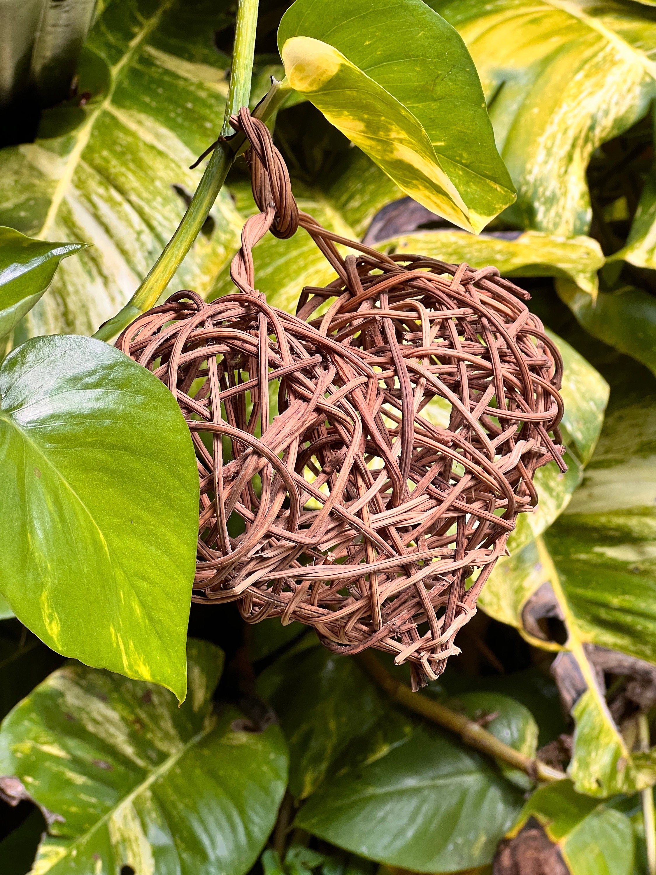 Cœur Tressé Fait Main Par Famille Mexicaine