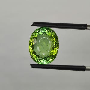 9.30 Ct Green Neon Paraiba Tourmaline | 13.7x11x8 MM Oval Loose Gemstone | Natural Rare Collector’s Gem