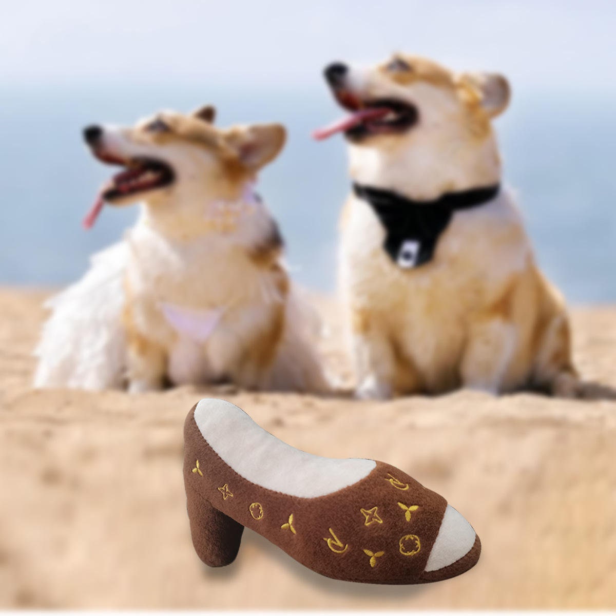 Magic Dog Shoes - Deluxe Chews and Squeakers - Hours of Fun for Your  Four-Legged Companion