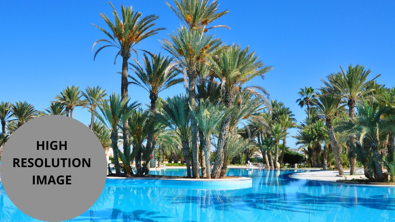 Zoom Background Pool Side Background Zoom Virtual Etsy