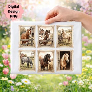 May include: A white rectangular sheet featuring six postage stamp designs with horse illustrations. The stamps depict horses in various settings, including barns and fields. The text "Digital Design PNG" is in the upper left corner.