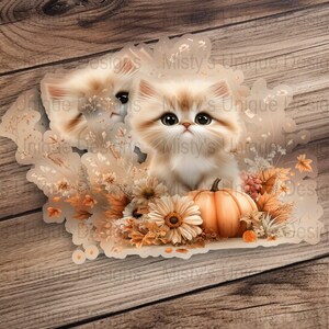 Kitten Pumpkin Clipart, Autumn Floral PNG (Digital Download image 5