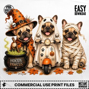 May include: Three French bulldogs in Halloween costumes. One wears a witch hat and cape by a cauldron labeled Hocus Pawcus. The center dog wears a ghost sheet on a scooter with pumpkin and spiderweb art. The third dog is wrapped in mummy bandages.