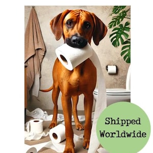 Rhodesian Ridgeback Funny Bathroom Print - Cheeky Dog with Toilet Roll Picture - Downstairs Loo Wall Art Ensuite Bath Shower Restroom Sign