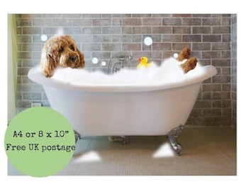 Cavapoo In Bath Print - Dog in Vintage Bathtub Picture - Funny Animal On Toilet - Funny Bathroom Wall Art Decor Ensuite Toilet Loo Cockerpoo