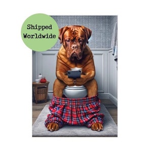 Dogue de Bordeaux Sitting on Toilet with Mobile Phone Print Funny Dog With Cell Phone Animal Picture Bathroom Wall Art Red Tartan Sign Gift