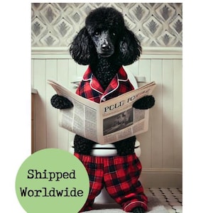 Black Poodle Sitting on Toilet Reading Newspaper Print Funny Dog Animal Picture Bathroom Loo Ensuite Wall Art Red Tartan Pyjamas Sign Gift