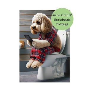 May include: A humorous greeting card featuring a dog wearing pyjamas and sitting on a toilet while looking at a phone. The card says "A4 or 8 x 10" Worldwide Postage".