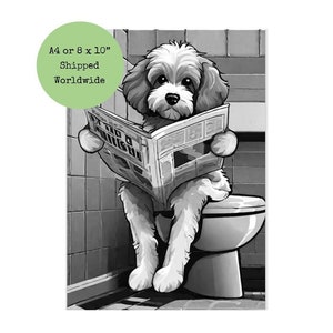 Può includere: Un'illustrazione in bianco e nero di un cane seduto sul water e che legge un giornale. Il cane indossa un collare e ha un'espressione felice sul viso.