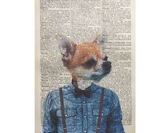 Braces For Chihuahua Etsy