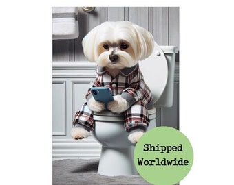 Maltese Dog On Toilet Texting on Mobile Phone Print - Animal Sitting on Loo on Cell Phone Funny Dog Picture Bathroom Wall Art Sign 8 x 10 A4