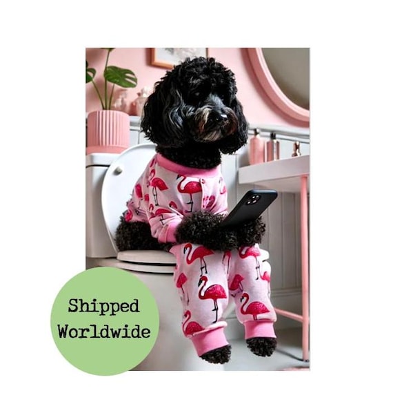 Cockapoo Pants - Black Cockapoo Pants - Black