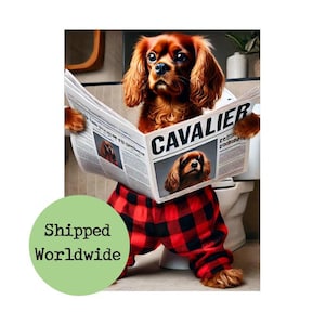 Può includere: Un cane Cavalier King Charles Spaniel con il pigiama a quadri rossi e neri è seduto sul water e legge un giornale con il titolo "CAVALIER" e una foto di un altro Cavalier King Charles Spaniel.