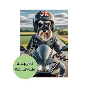 Op de afbeelding: Een zwart-witte dwergkees die een zwart leren jack en een motorhelm met een Union Jack-ontwerp draagt, rijdt op een zwarte motor.