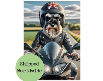 Schnauzer Riding Motorbike Print - Funny Miniature Schnauzer Picture Union Jack Animal in Clothes Biker Dog Wall Art Motorcycle Gift Sign