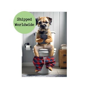 Border Terrier On Toilet Texting on Mobile Phone Print - Animal Sitting on Loo Cell Phone Funny Dog Picture Bathroom Wall Art Sign 8 x 10 A4