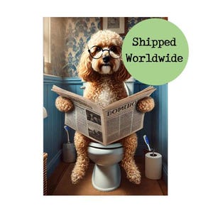 Peut inclure: Une image fantaisiste d'un chien portant des lunettes et assis sur des toilettes, lisant un journal. Le chien est brun clair avec des poils bouclés. Le journal est ouvert, et le texte "DOMUIO" est visible. L'arrière-plan comprend un mur bleu et des accessoires de salle de bain.