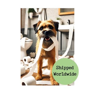Border Terrier Funny Bathroom Print Cheeky Dog with Toilet Roll Picture - Downstairs Loo Wall Art Ensuite Bath Shower Restroom Sign 8x10 A4