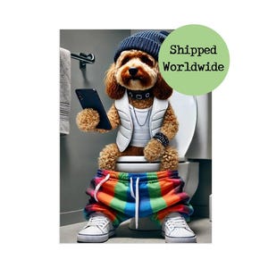 Könnte beinhalten: Ein brauner und weißer Hund, der eine weiße Weste, eine schwarze Mütze und eine regenbogenfarbene Hose trägt, sitzt auf einer weißen Toilette mit einem Handy in seinen Pfoten. Der Hund schaut auf das Telefon.