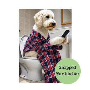 May include: A white dog wearing red and blue plaid pyjamas sits on a white toilet and uses a smartphone. The dog is looking at the phone. The text "Shipped Worldwide" is on a green circle in the lower right corner of the image.