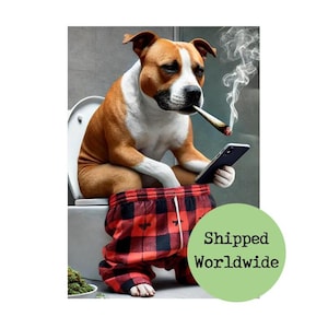 Staffy Pyjamas Etsy