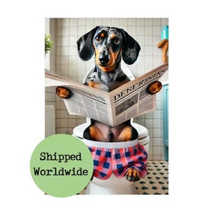 Dapple Dachshund Sitting on Toilet Reading Newspaper Print - Funny Sausage Dog - Animal Loo Ensuite Bathroom Wall Art Picture Rest Room Sign