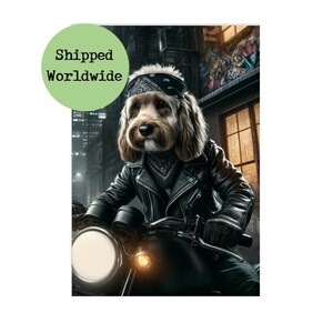 May include: A brown and white dog wearing a black leather jacket and a bandana is riding a black motorcycle. The dog is looking straight ahead. The background is a dark city street with graffiti.