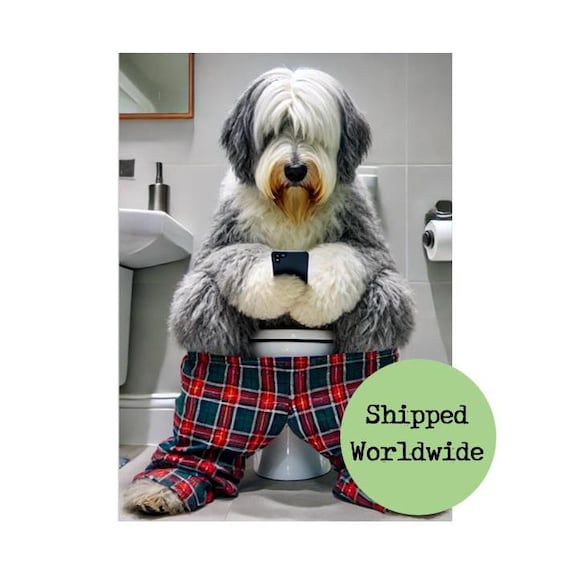 Old English Sheepdog Pants Old English Sheepdog Pants