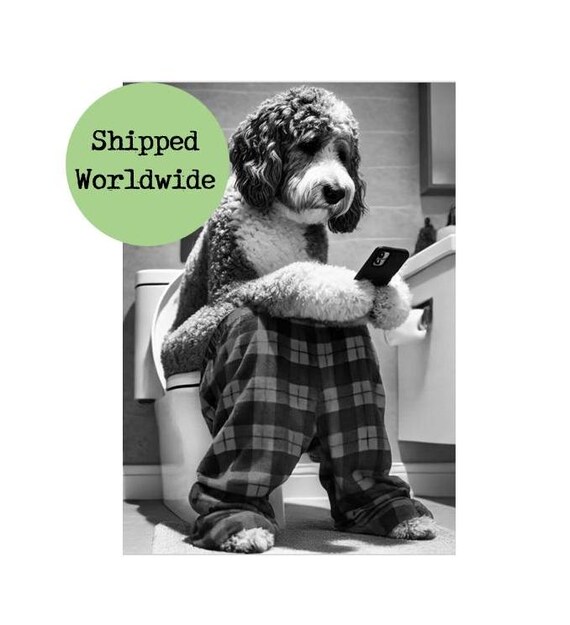 Grey Bernedoodle on Toilet Print - Dog Sitting on Loo Picture