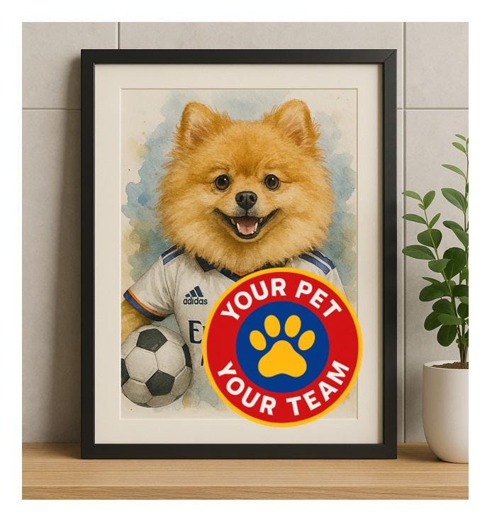 Dog and Football Tee and Pant Set main image 0