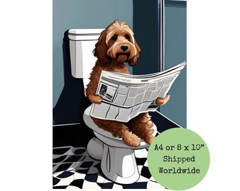 Cockapoo On Toilet Reading Newspaper Print - Cockerpoo Sitting on Loo - Funny Dog Picture - Animal Bath - Bathroom Wall Art Sign 8 x 10 A4